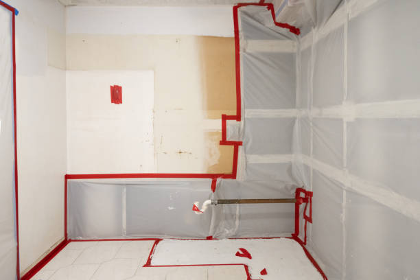 Trusted Caledonia, MI Mold Removal Experts