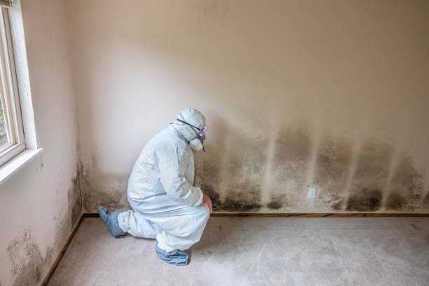 Forensic Mold Investigation